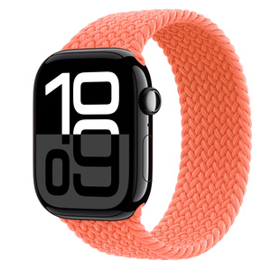 ほぼ未使用】最新型Apple Watch series10 46mm セルラー Apple watch  