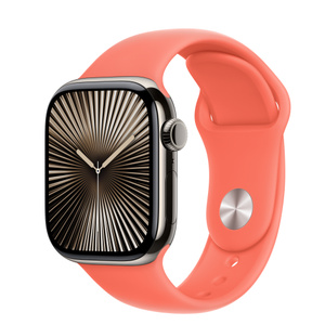 新品 Apple Watch 10 GPS +セルラーモデル 42mm（Apple Watch Series  