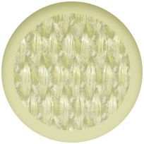 ネオンイエロー