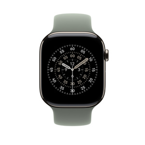 46mm Green Grey Solo Loop Size Apple (IN)
