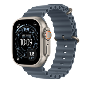 49mm Anchor Blue Ocean Band - Natural Titanium Finish - Apple
