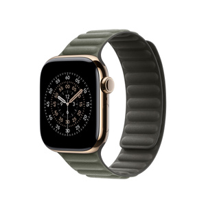 42mm Sage Gray Magnetic Link - S/M - Apple