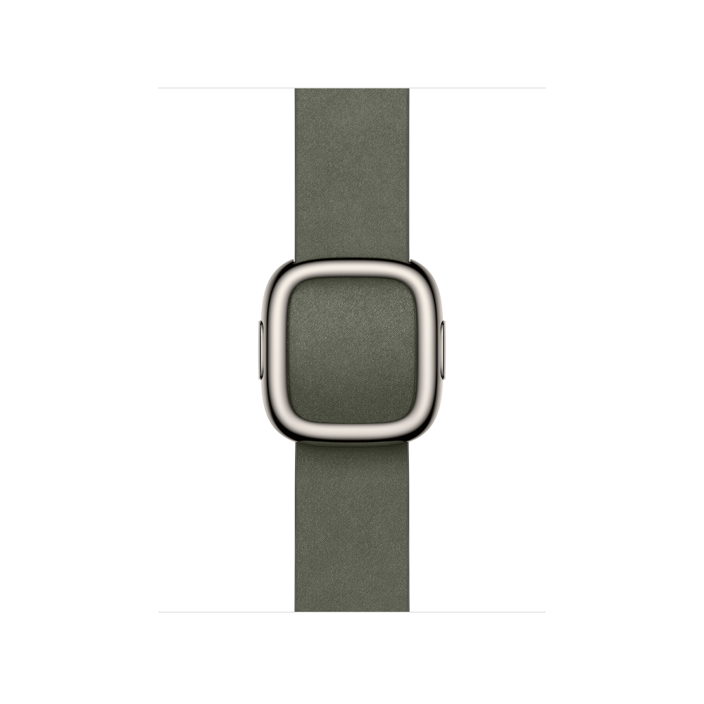 42mm Sage Gray Modern Buckle - Small – MGG94ZM/A