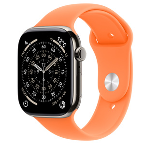 Apple Watch Series 11 (GPS + Cellularモ‍デ‍ル) - 46mmナチュラル 