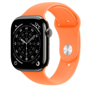 Apple Watch Series 11 (GPS + Cellularモ‍デ‍ル) - 46mmスレート 