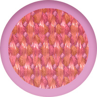 ブライトグアバ