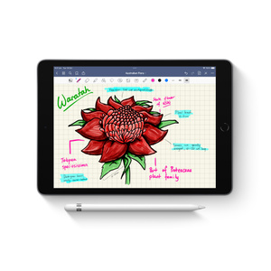 Apple Pencil in front of iPad with image on screen.