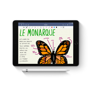 Un Apple Pencil devant un iPad dont l’écran affiche une image.