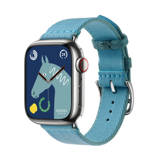 Buy Apple Watch Hermès Series 9 GPS + Cellular, 41mm Silver 