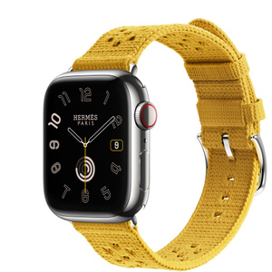 Buy Apple Watch Hermès Series 9 GPS + Cellular, 41mm Silver 