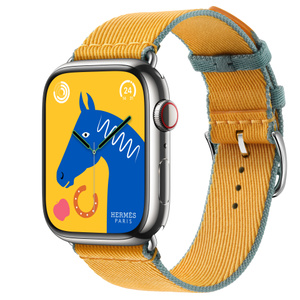 Apple Watch Hermès Series 9 (GPS + Cellularモ‍デ‍ル) - 45mm 