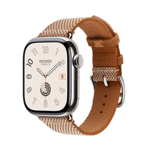 Buy Apple Watch Hermès Series 10 GPS + Cellular, 42mm Silver  