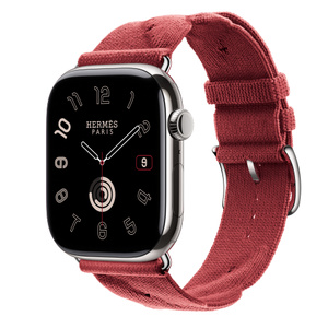 Buy Apple Watch Hermès Series 10 GPS + Cellular, 46mm Silver 