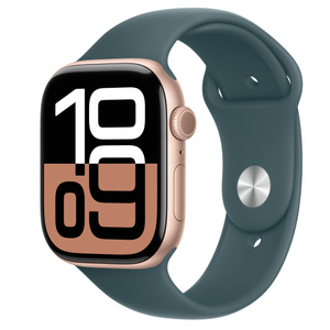 Apple Watch Series 10 (GPS + Cellularモ‍デ‍ル) - 46mmローズ 