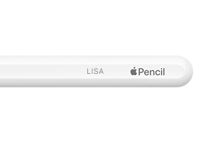 图片展示镌刻示例，镌刻文字为 Lisa。