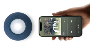 Buy HomePod mini 2 - Midnight - Apple (HK)