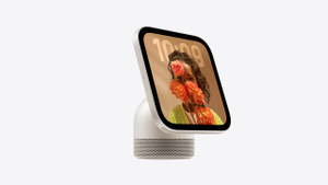 Apple HomeView