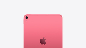 Buy iPad Wi‑Fi + Cellular 256GB - Pink - Education - Apple (SG)