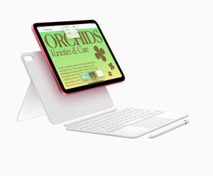 Buy iPad Wi-Fi 128GB - Silver - Apple (HK)