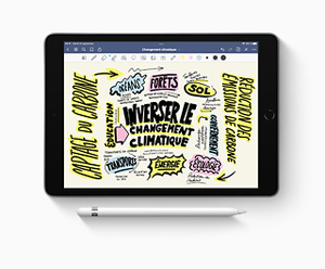 Acheter un modèle iPad Wi‑Fi 256 Go - Jaune - Apple (FR)