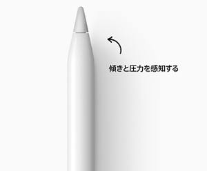 iPad Wi-Fiモデル 256GB - ブルーを購入 - Apple（日本）