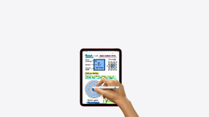 iPad Wi-Fi + Cellular 256 GB - Gümüş Rengi satın alın - Apple (TR)
