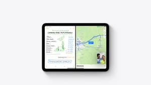 Connected over FaceTime on iPad, sharing screen and working on Notes together