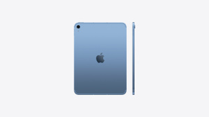 Buy iPad Wi‑Fi + Cellular 256GB - Blue - Apple