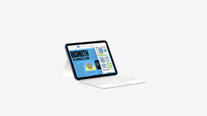 Buy iPad Wi‑Fi + Cellular 256GB - Silver - Apple (AE)