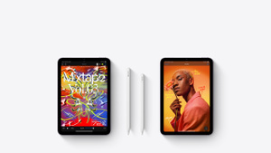 Acheter un modèle iPad mini Wi‑Fi + Cellular 512 Go - Gris sidéral