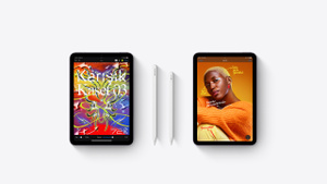 iPad mini Wi‑Fi + Cellular 256 GB - Uzay Grisi satın alın - Apple (TR)