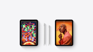 iPad本体 iPad mini 256GB Wi-Fi + Apple Pencil Acheter iPad mini Wi‑Fi de 256 Go - Gris cosmique - Apple (CA)