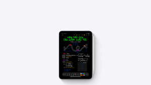 Mua iPad mini Wi‑Fi + Cellular 256GB - Xám Không Gian - Apple (VN)