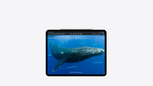 Buy iPad Pro - Business - Apple (HK)