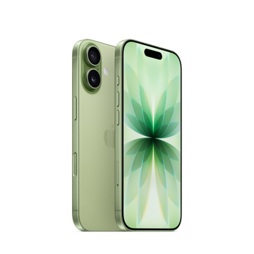 iPhone 17, Шалфей