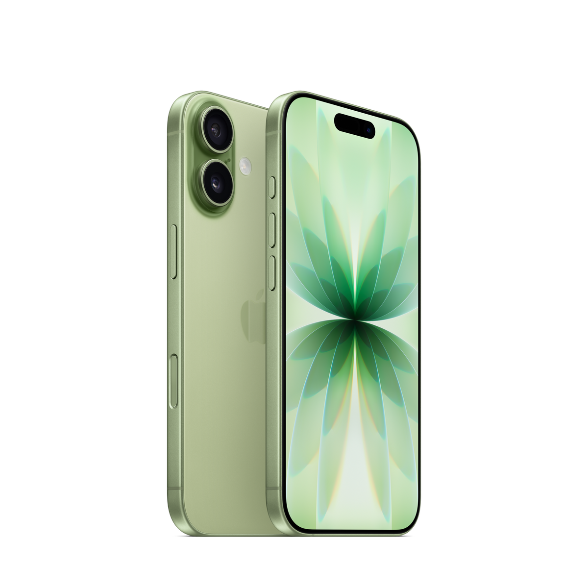 iPhone 17 Sauge