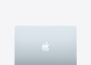 Buy MacBook Air, 13-inch, M4 Chip, 10-core CPU, 10-core GPU, Sky