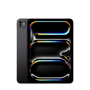 Refurbished iPad pro 11-inch (M4) Wi-Fi + Cellular 256GB with Standard glass — Space Black