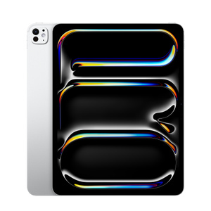 iPad Pro 13" (M4) Wi‑Fi 1TB ricondizionato con vetro standard - Argento