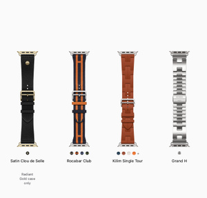Buy Apple Watch Hermès Series 12 GPS + Cellular, 46mm Silver