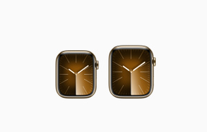 Apple Watch 9 - 45mm Stainless Steel and Gold - GPS and Cellular