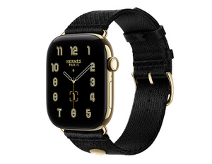 Apple Watch Hermès Series 12