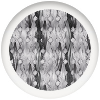 hegycsúcsfehér-fekete