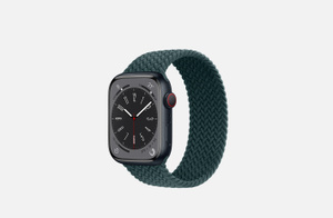 Buy Apple Watch Accessories Apple (IN)