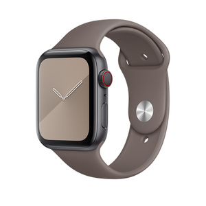 apple watch grey