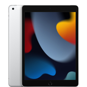 10.2-inch iPad Wi-Fi + Cellular 256GB - Silver