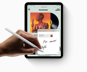 iPad mini Wi‑Fi 64 GB – Space Grau kaufen - Apple (DE)