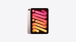 iPad mini Wi‑Fi 64 GB – Rosé kaufen - Apple (DE)