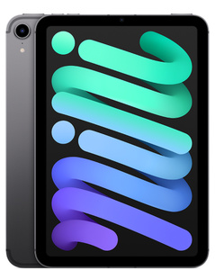iPad mini Wi-Fi + Cellular 256GB - Space Gray
