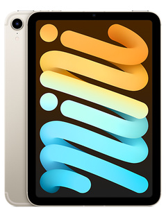 iPad mini Wi-Fi + Cellular 256GB - Starlight